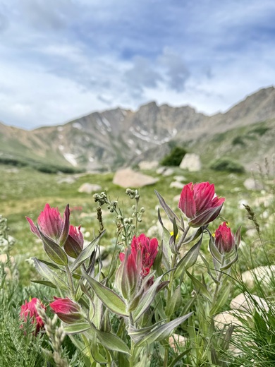 Arapaho National Forest