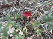 Chiricahua National Monument 