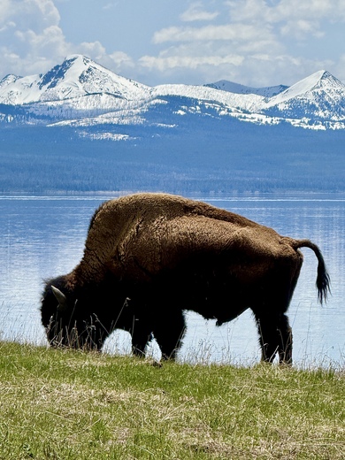 Yellowstone National Park