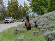 Grand Teton National Park