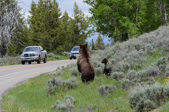 Grand Teton National Park
