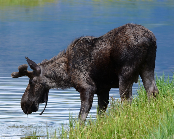Grand Teton National Park