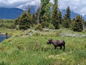 Grand Teton National Park