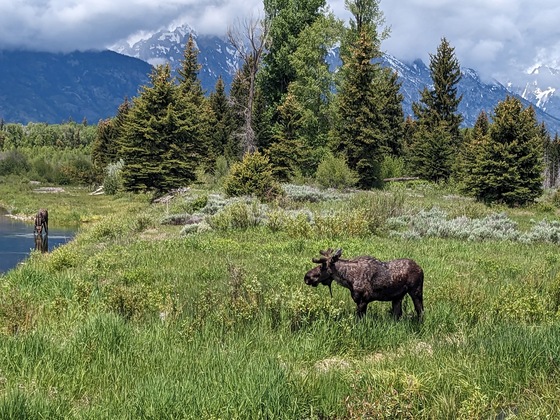 Grand Teton National Park