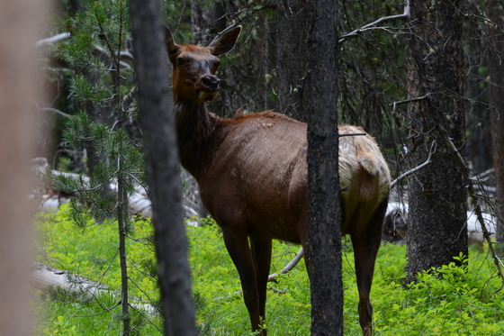 Grand Teton National Park
