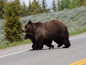 Grand Teton National Park