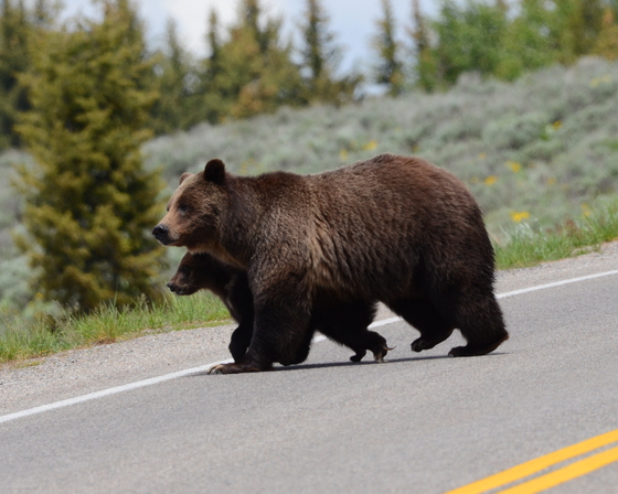 Grand Teton National Park