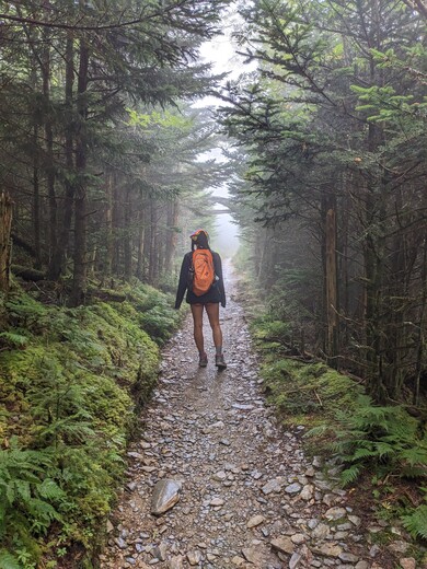 Great Smoky Mountains National Park