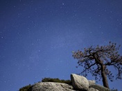 Yosemite National Park