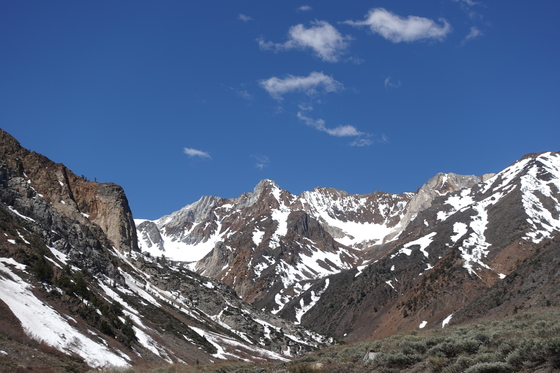 Inyo National Forest