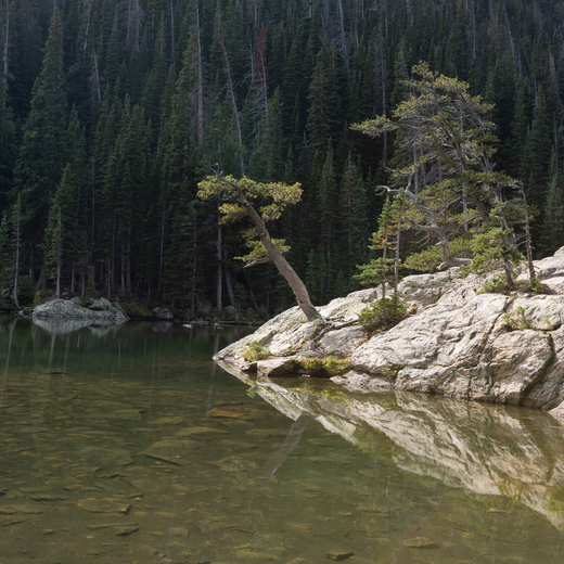 Rocky Mountain National Park