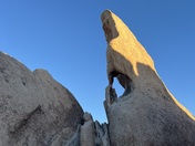 Joshua Tree National Park