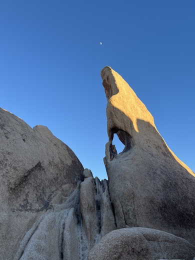 Joshua Tree National Park