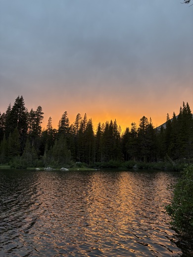 Yosemite National Park
