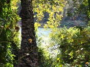 Chesapeake & Ohio Canal National Historic Park