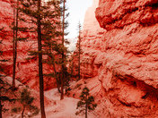 Bryce Canyon National Park 