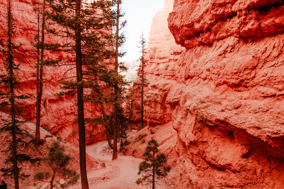Bryce Canyon National Park 