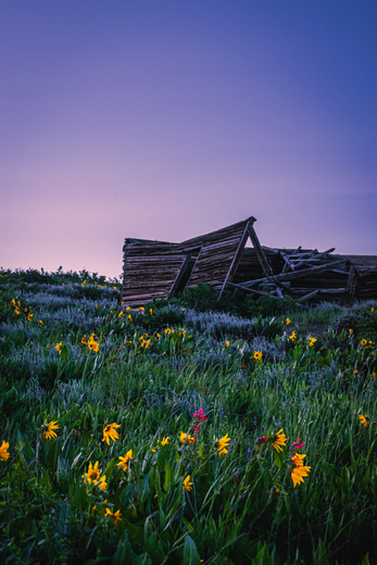 Gunnison National Forest 