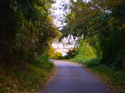 Potomac Heritage National Scenic Trail