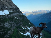 Glacier National Park 
