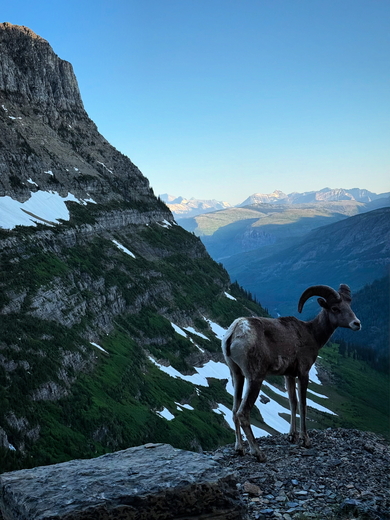 Glacier National Park 