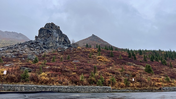 Denali National Park