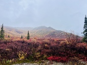 Denali National Park