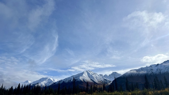 Denali National Park