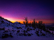 Three Sisters Wilderness Area