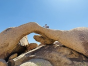 Joshua Tree National Park