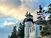 Acadia National Park