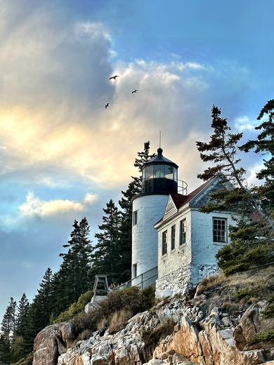 Acadia National Park