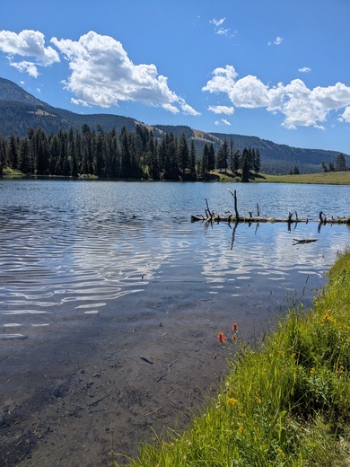 Yellowstone National Park