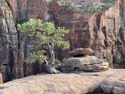 Bryce Canyon National Park 