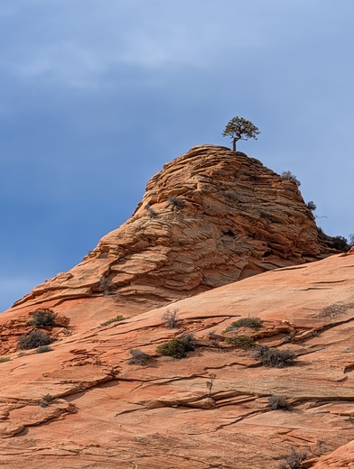 Zion National Park 