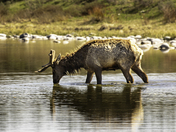Grand Teton National Park