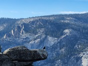 Yosemite National Park