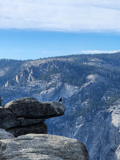 Yosemite National Park