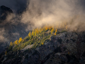 Okanogan-Wenatchee National Forest