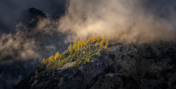 Okanogan-Wenatchee National Forest
