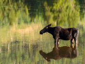Rocky Mountain National Park