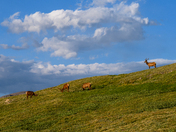 Rocky Mountain National Park