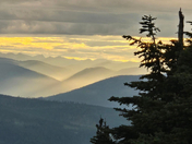 Kaniksu National Forest 