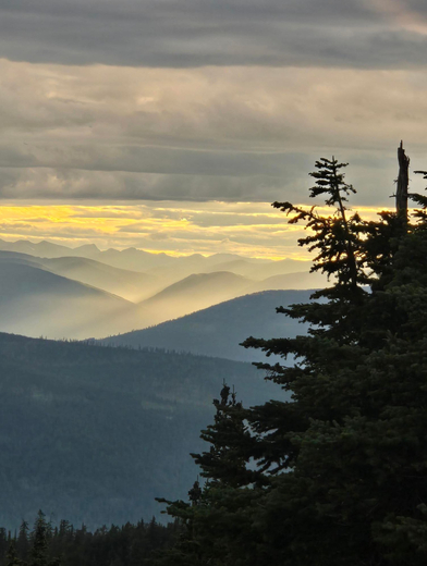 Kaniksu National Forest 