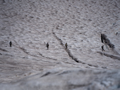 Mt Rainier National Park 