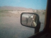 Lake Mead National Recreation Area