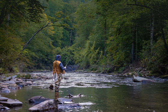 Pisgah National Forest