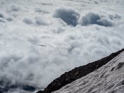 Mt Rainier National Park