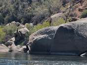 Sequoia National Forest