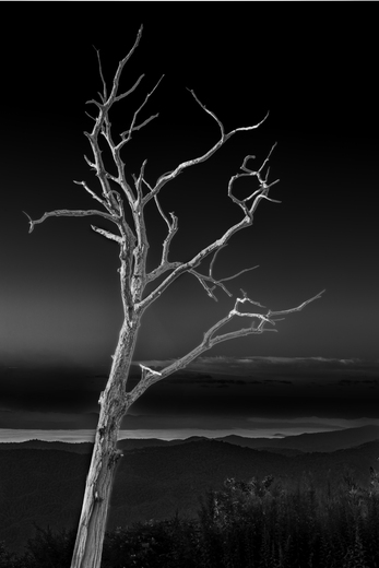 Blue Ridge Parkway
